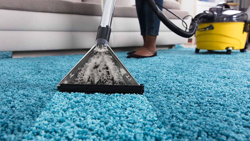 How much does carpet cleaning cost in Delhi?